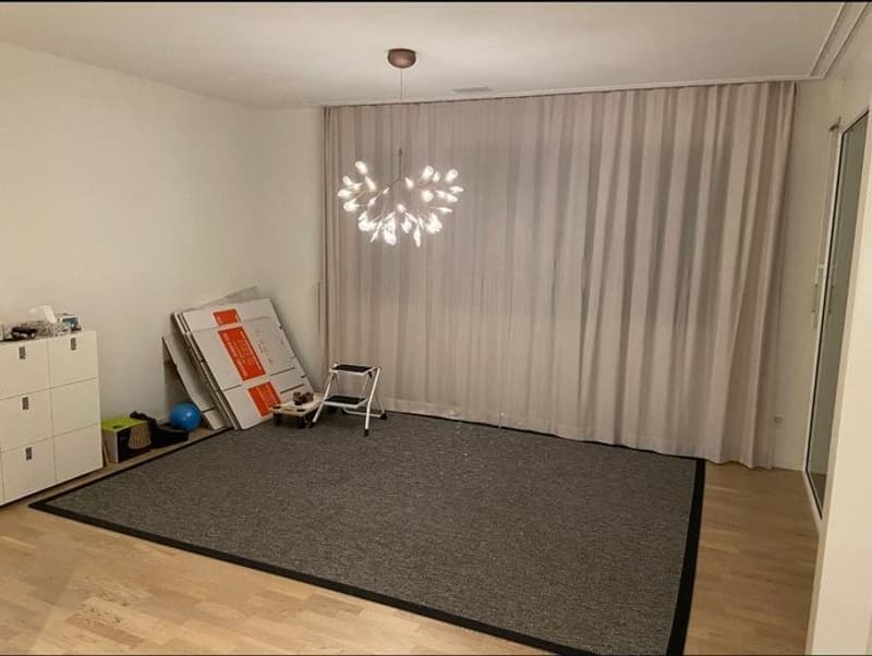 Moderne 2-Zimmer-Minergie-Wohnung im Zentrum von Liestal (1)