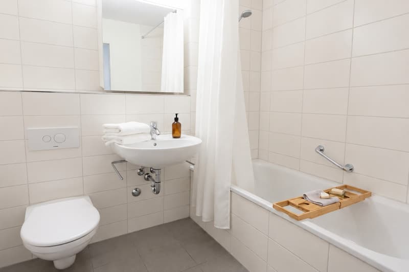 Eine 3-Zimmer-Wohnung zu vermieten (3)