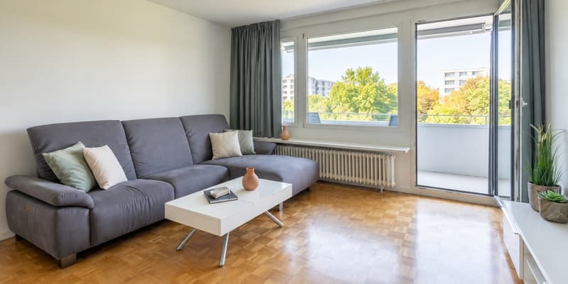 Eine 3-Zimmer-Wohnung zu vermieten (5)