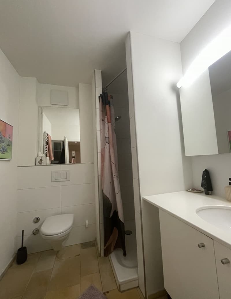Bright 3-room with excellent connectivity (8)