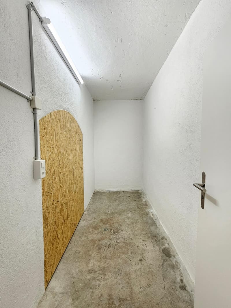 Flatmate wanted: bright room in a renovated 3-room apartment, Zurich-Oerlikon (9)