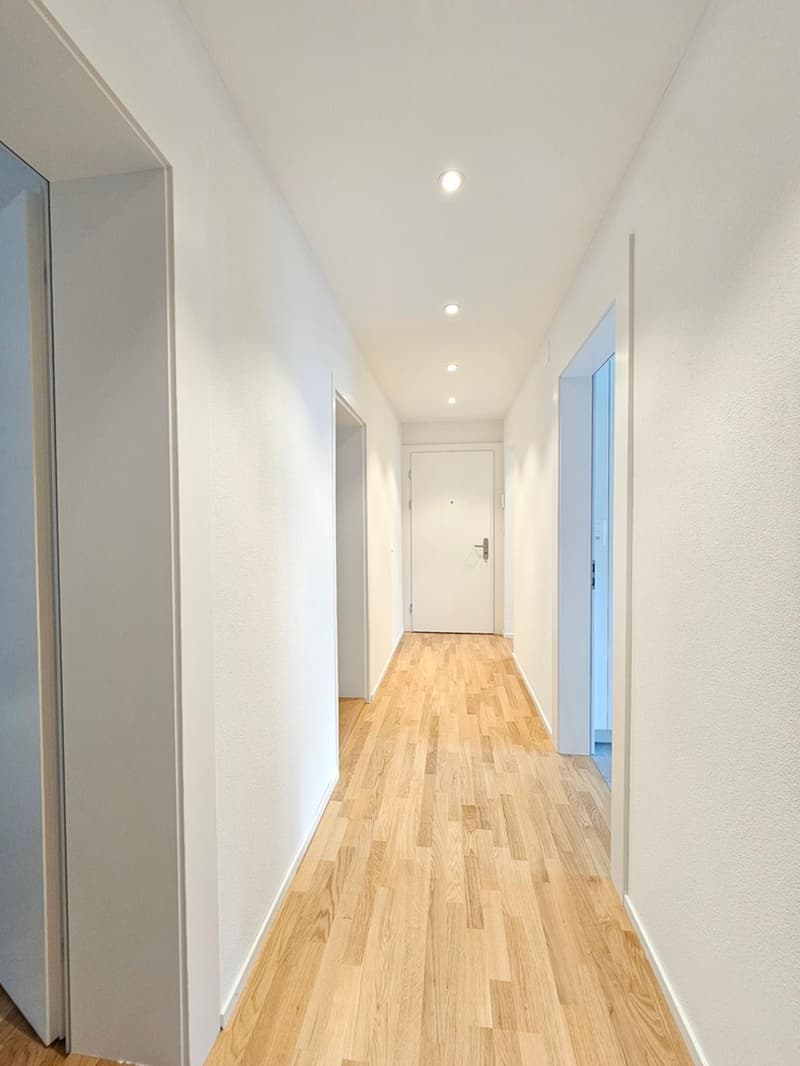 Flatmate wanted: bright room in a renovated 3-room apartment, Zurich-Oerlikon (1)
