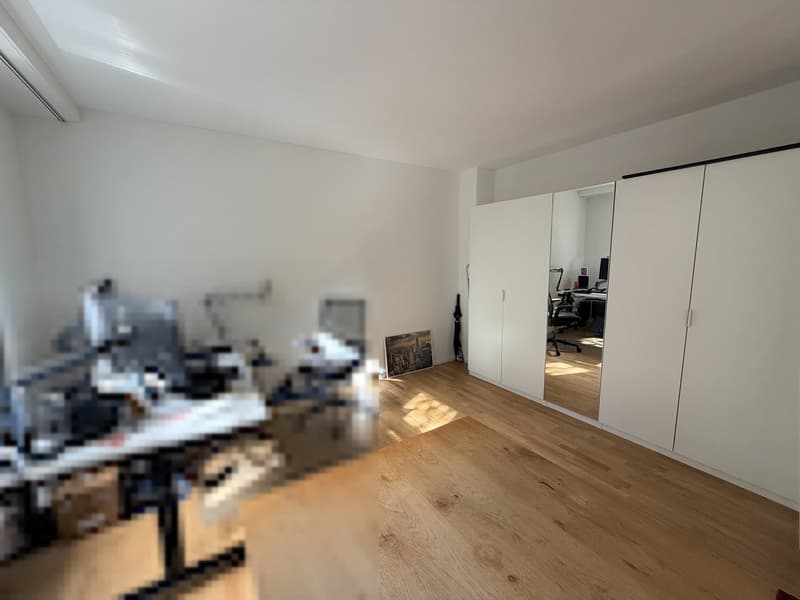 Flatmate wanted: bright room in a renovated 3-room apartment, Zurich-Oerlikon (6)