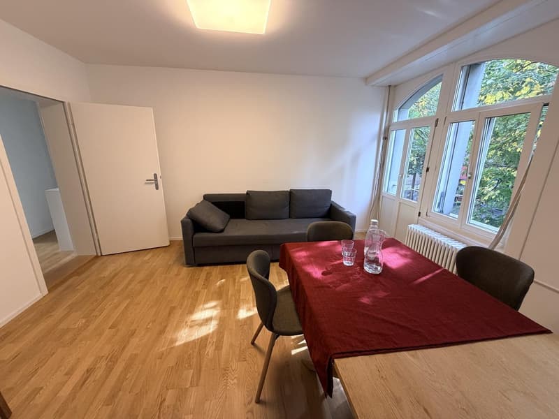 Flatmate wanted: bright room in a renovated 3-room apartment, Zurich-Oerlikon (5)