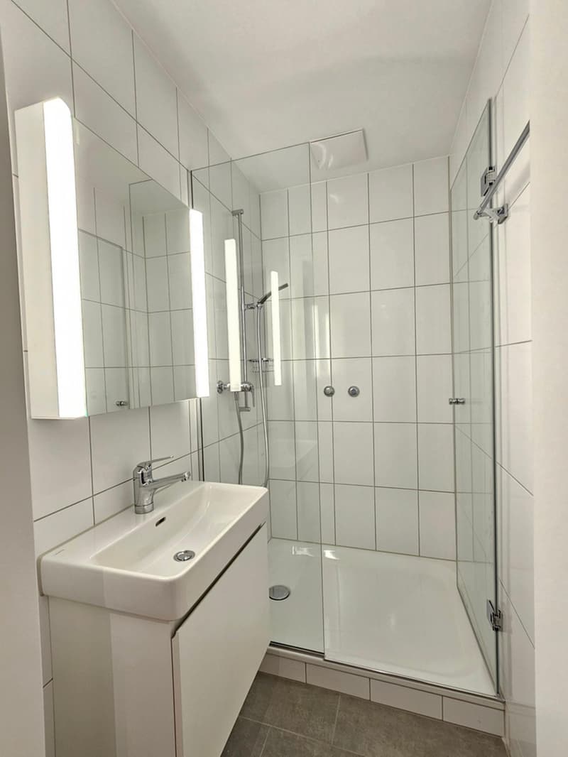 Flatmate wanted: bright room in a renovated 3-room apartment, Zurich-Oerlikon (3)