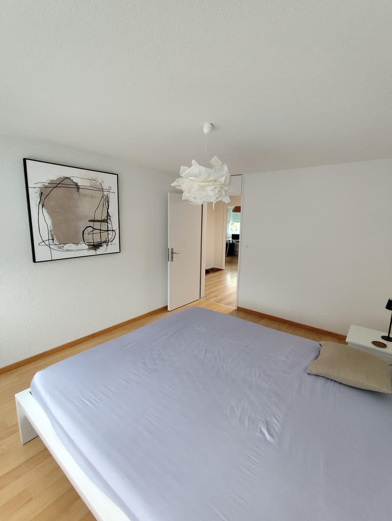 Helle 4.5 Zimmer-Wohnung mit Seesicht und grosser Terasse in Pfäffikon (10)