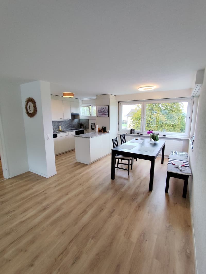 Helle 4.5 Zimmer-Wohnung mit Seesicht und grosser Terasse in Pfäffikon (1)