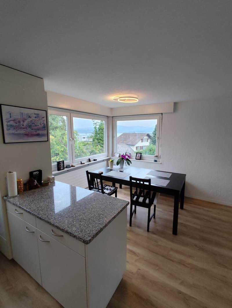 Helle 4.5 Zimmer-Wohnung mit Seesicht und grosser Terasse in Pfäffikon (4)