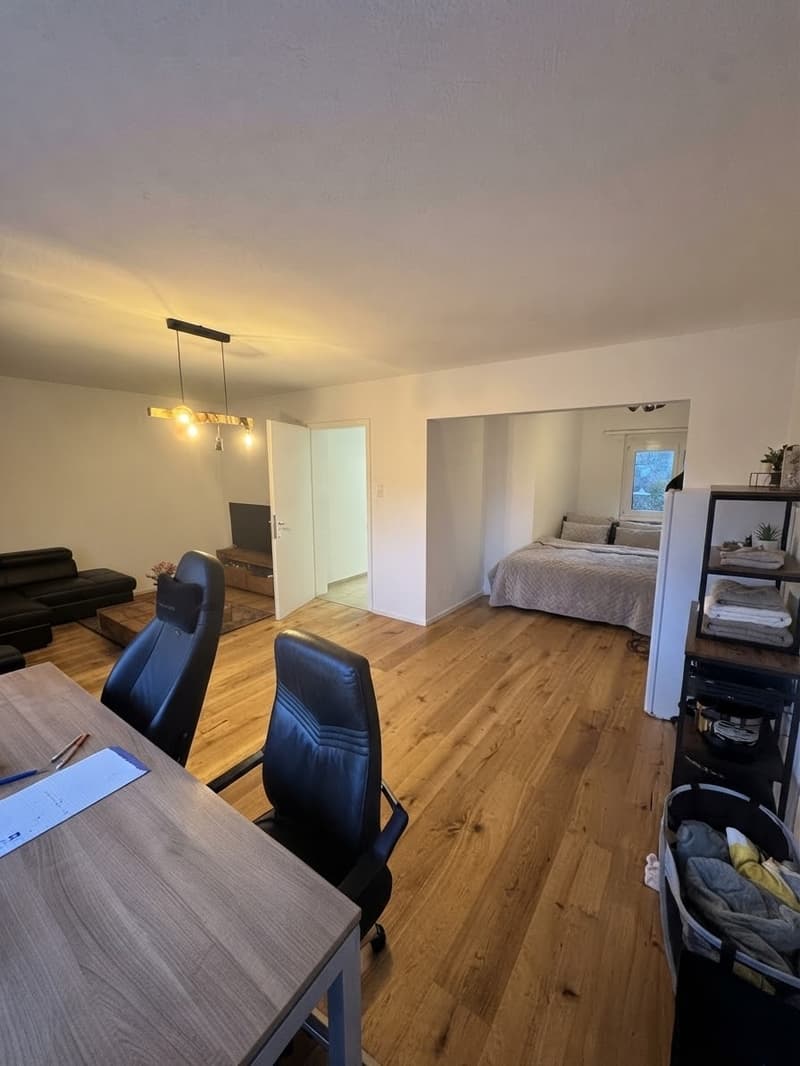 Nachmieter gesucht: helle 1,5-Zimmer-Wohnung mit Balkon, ruhige Lage, St. Gallen (1)