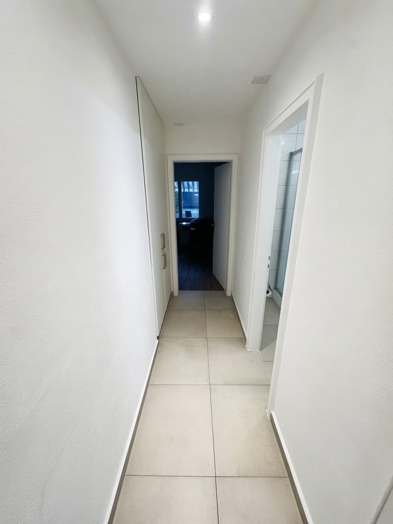 Nachmieter gesucht: helle 1,5-Zimmer-Wohnung mit Balkon, ruhige Lage, St. Gallen (8)