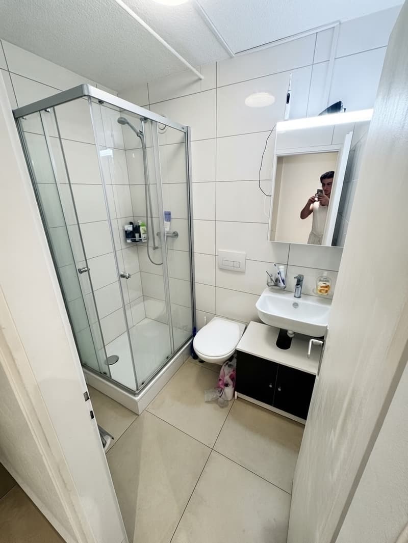 Nachmieter gesucht: helle 1,5-Zimmer-Wohnung mit Balkon, ruhige Lage, St. Gallen (9)