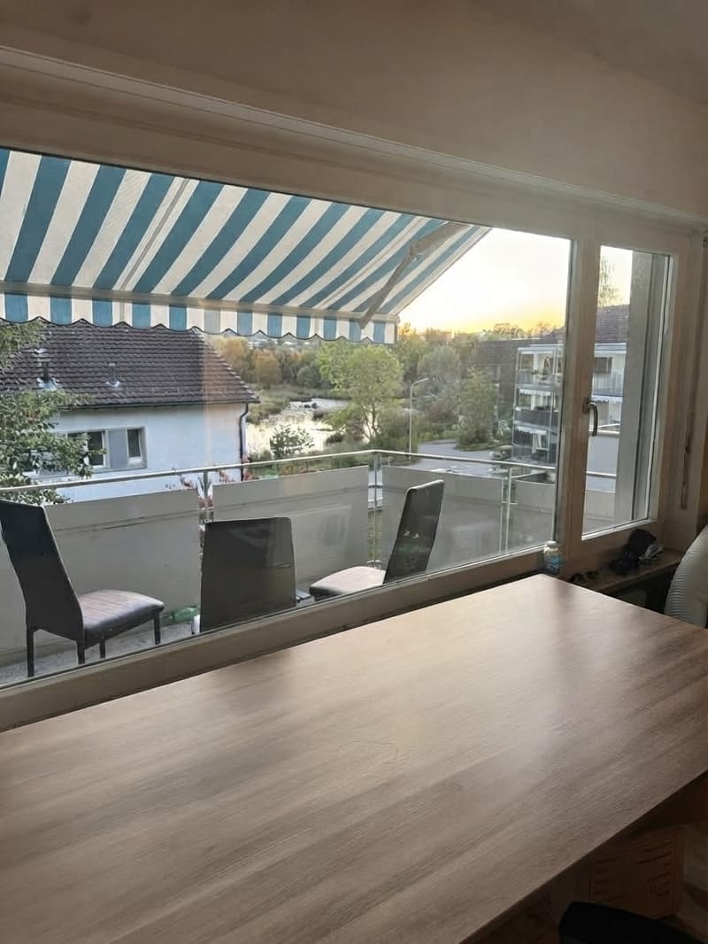 Nachmieter gesucht: helle 1,5-Zimmer-Wohnung mit Balkon, ruhige Lage, St. Gallen (5)