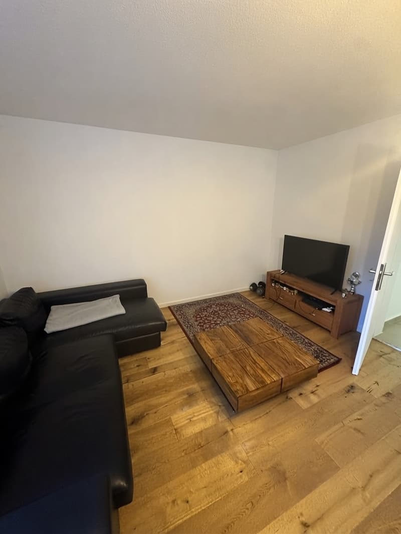 Nachmieter gesucht: helle 1,5-Zimmer-Wohnung mit Balkon, ruhige Lage, St. Gallen (3)