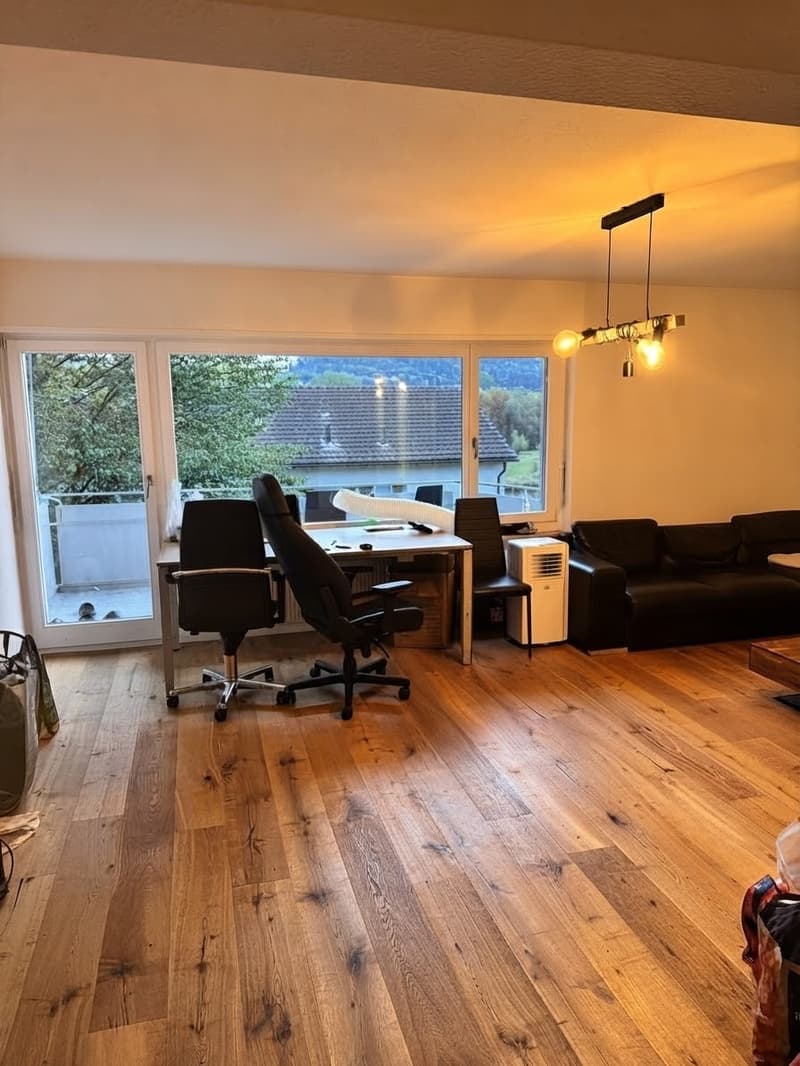 Nachmieter gesucht: helle 1,5-Zimmer-Wohnung mit Balkon, ruhige Lage, St. Gallen (4)