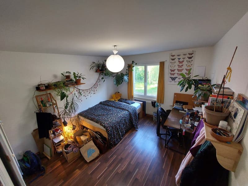 Room available from November and December (2)
