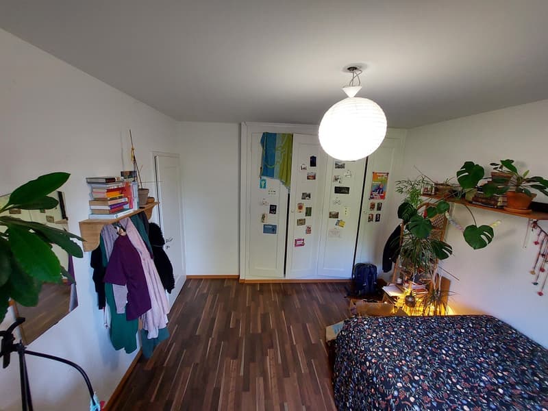 Room available from November and December (3)