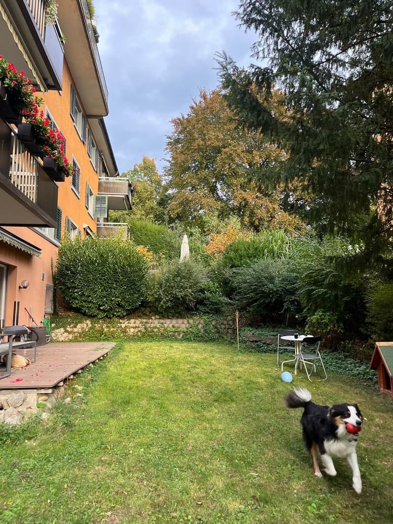 2.5 Zimmer Gartenwohnung nur 3 Gehminuten oberhalb des Schaffhauserplatzes (3)