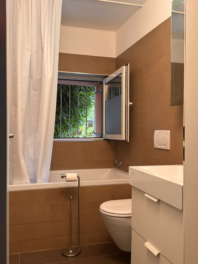 2.5 Zimmer Gartenwohnung nur 3 Gehminuten oberhalb des Schaffhauserplatzes (10)