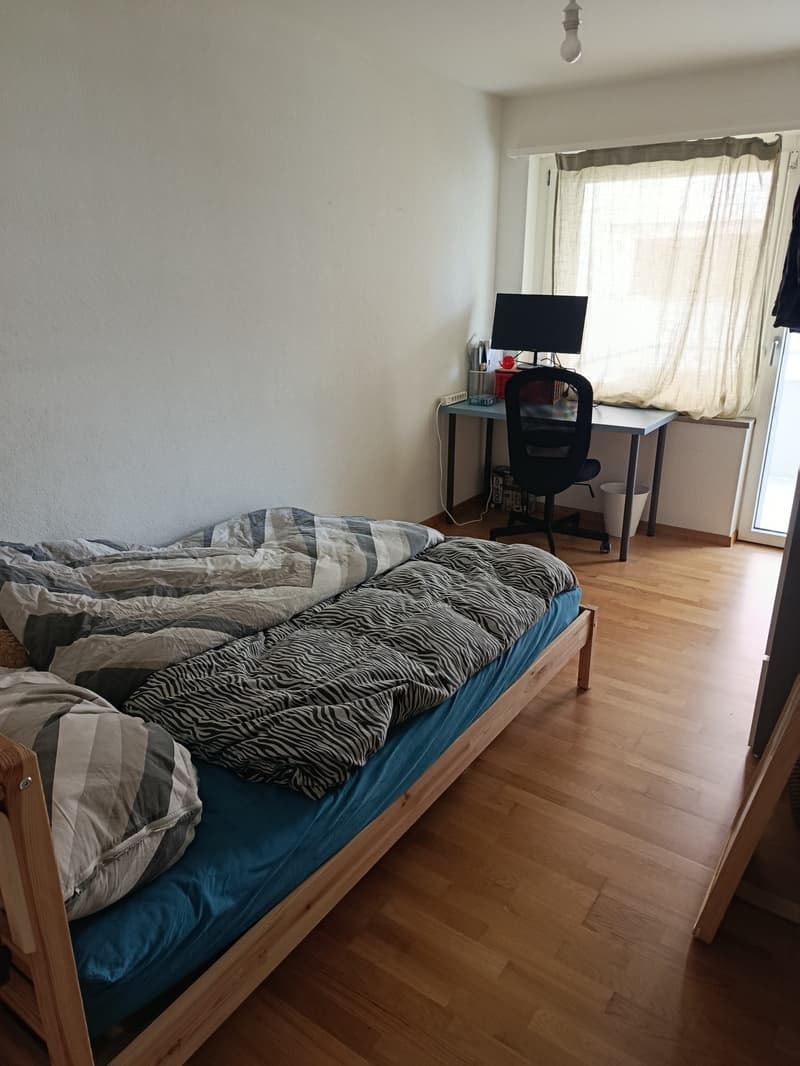 WG Zimmer in Dübendorf zu vermieten (1)