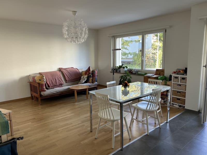 WG Zimmer in Dübendorf zu vermieten (6)