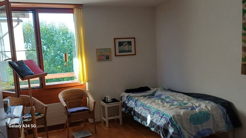 Ruhige 2-Zimmer Wohnung im Grünen mit grosser Terrasse (4)