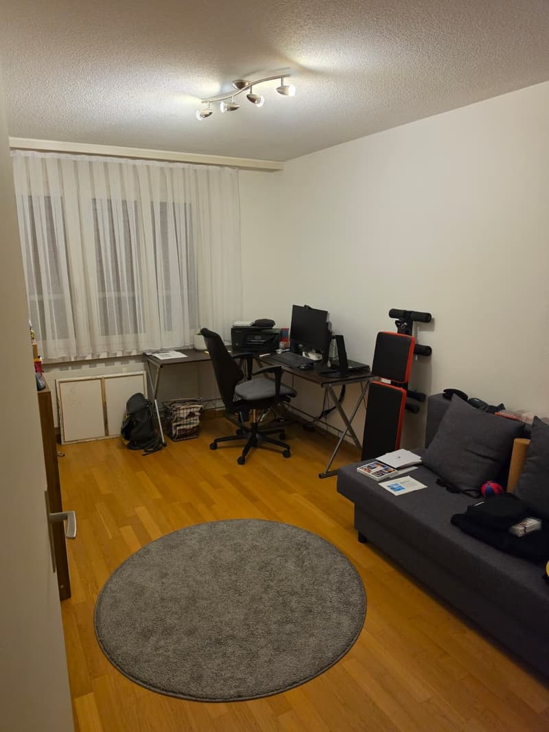 Helle und gemütliche 3.5 Zimmer Wohnung mit Balkon und viel Stauraum (6)