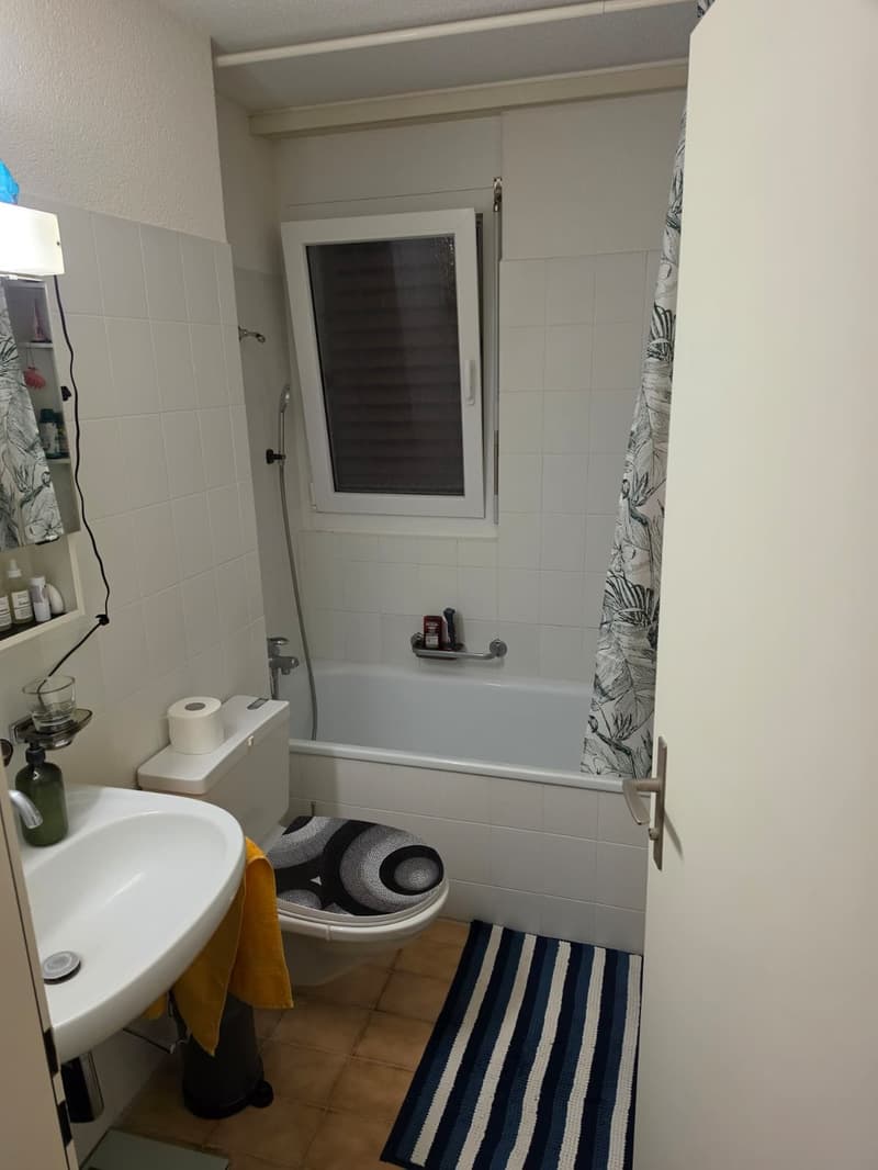Helle und gemütliche 3.5 Zimmer Wohnung mit Balkon und viel Stauraum (7)