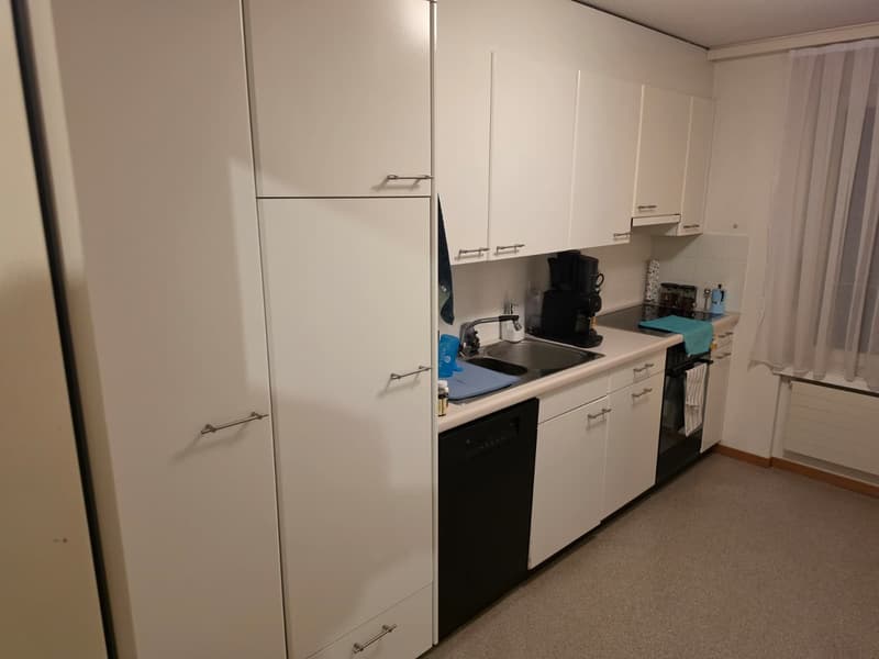 Helle und gemütliche 3.5 Zimmer Wohnung mit Balkon und viel Stauraum (4)