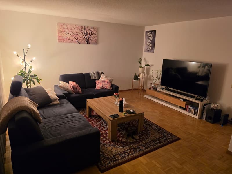 Helle und gemütliche 3.5 Zimmer Wohnung mit Balkon und viel Stauraum (1)