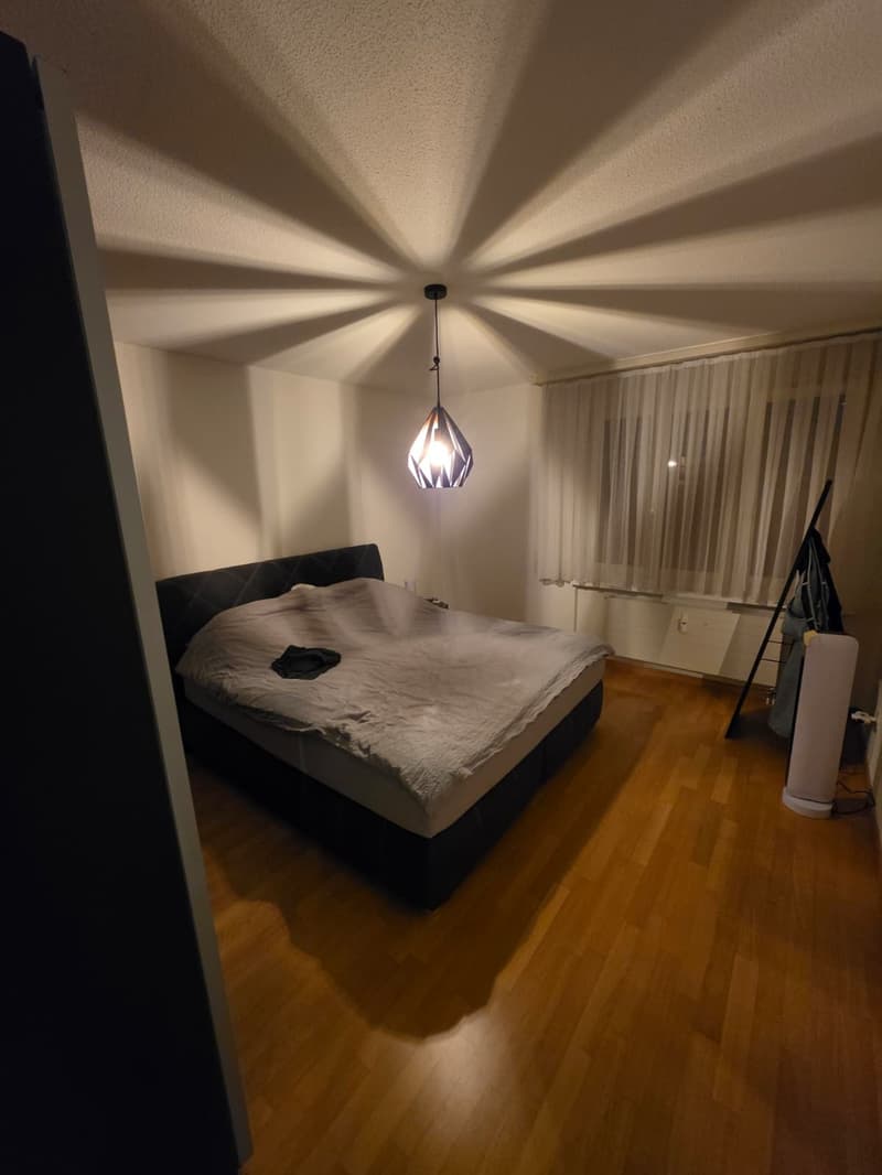 Helle und gemütliche 3.5 Zimmer Wohnung mit Balkon und viel Stauraum (5)