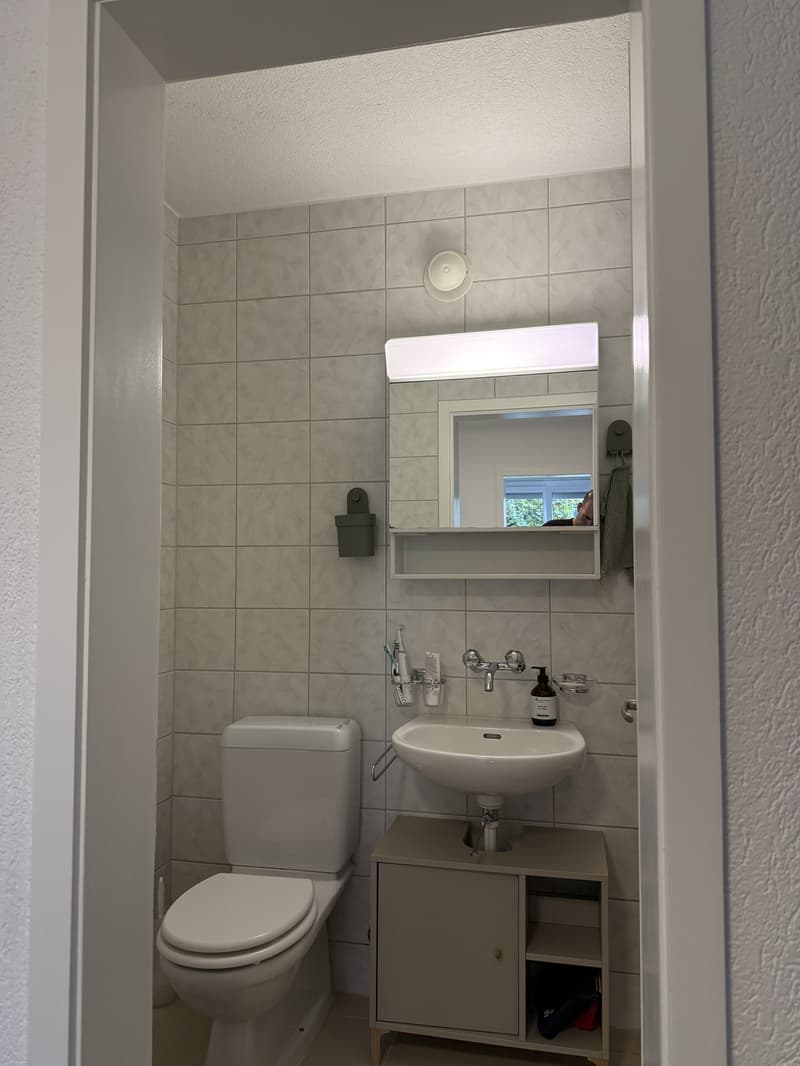 3.5-room apartment in Thalwil steps from Lake Zurich (5)