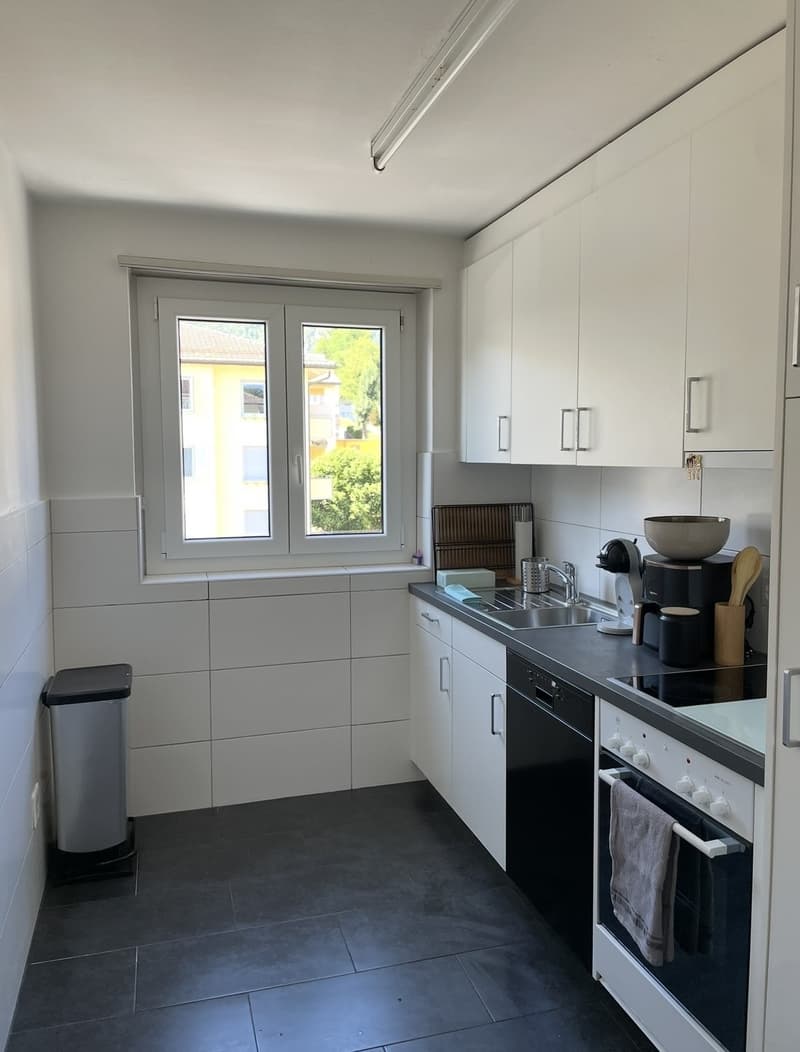 3.5-Zimmer-Wohnung (4)
