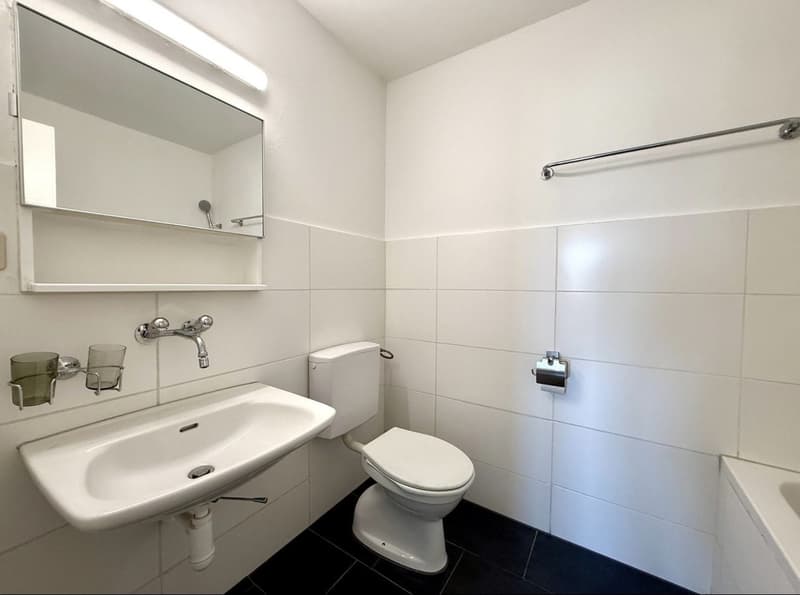 3.5-Zimmer-Wohnung (3)