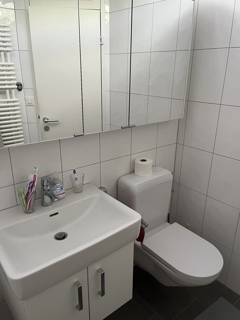 WG-Zimmer in Witikon (8)