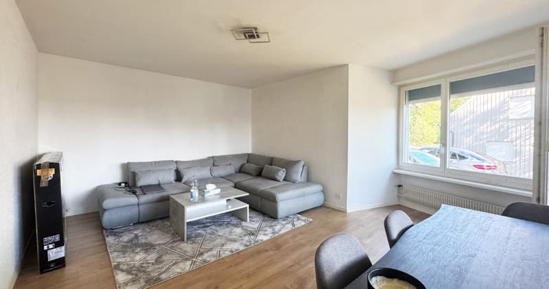 2- Zimmer Wohnung in Oberglatt zu vermieten (1)