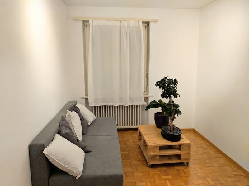 Flexible Wohnmöglichkeit im Kanton Zug (1)