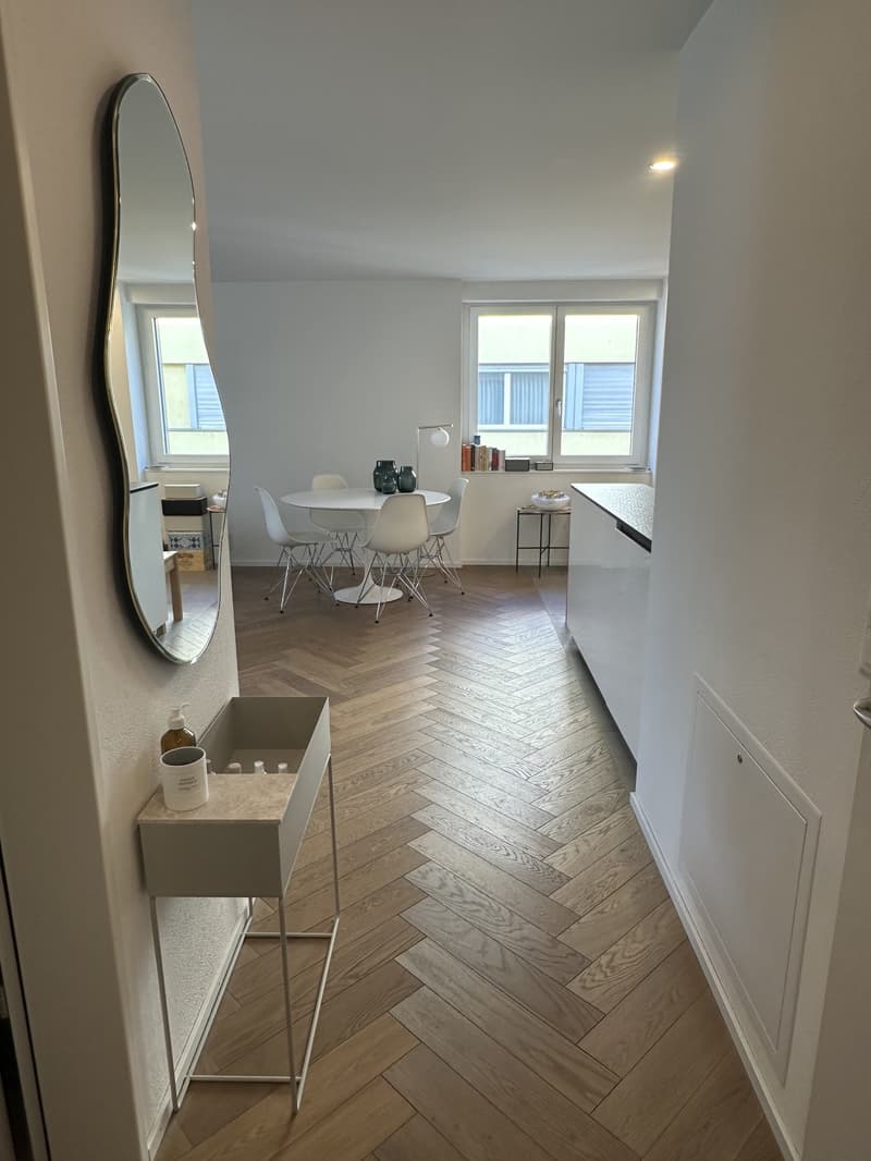 Rent a 2 1/2 Appartment in Seefeld Zurich (2)
