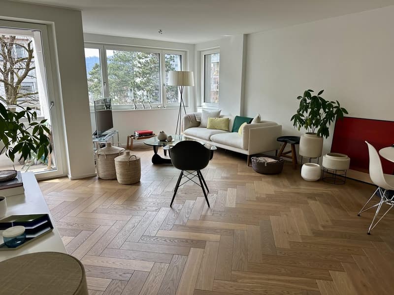 Rent a 2 1/2 Appartment in Seefeld Zurich (1)