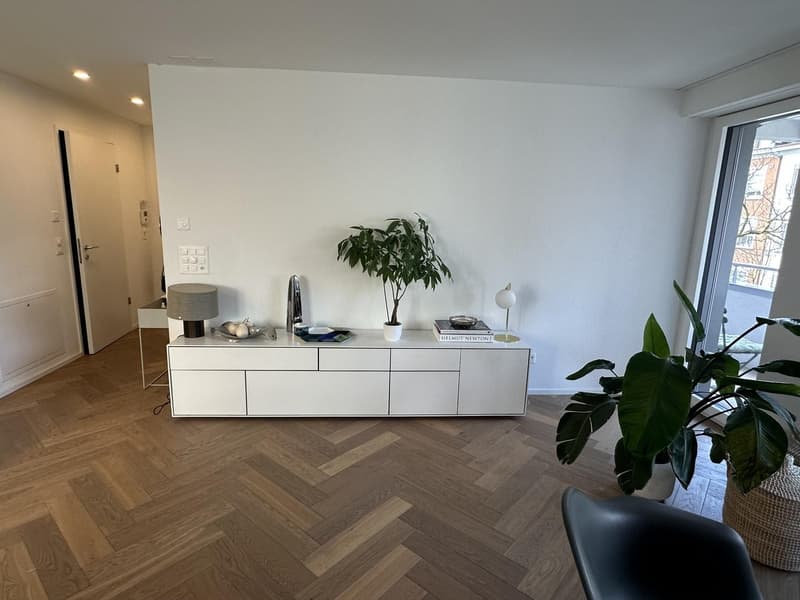 Rent a 2 1/2 Appartment in Seefeld Zurich (4)