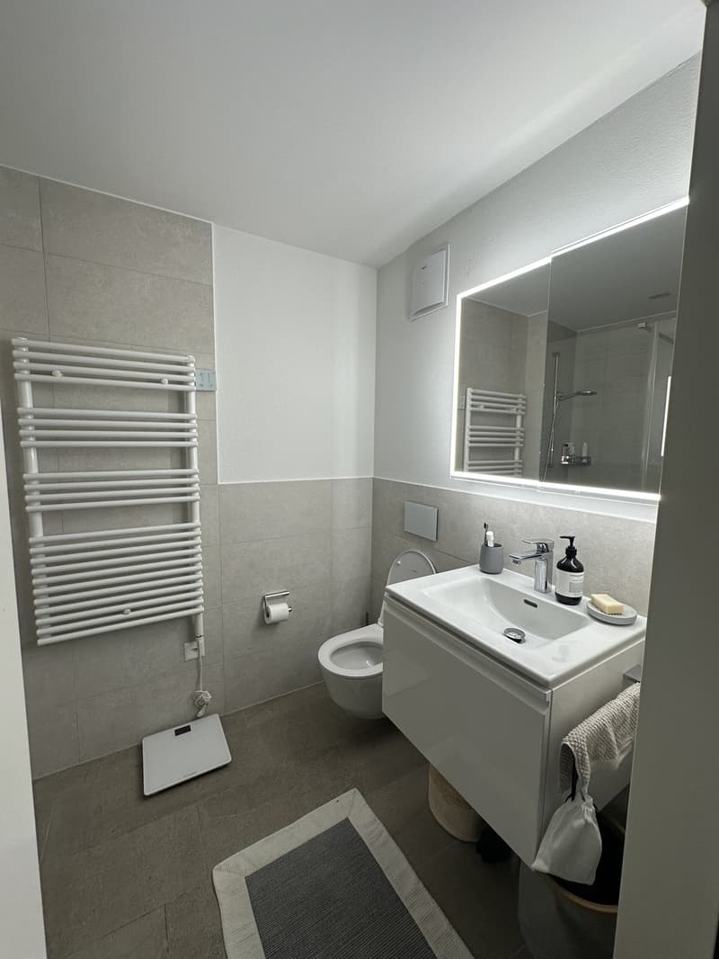 Rent a 2 1/2 Appartment in Seefeld Zurich (6)