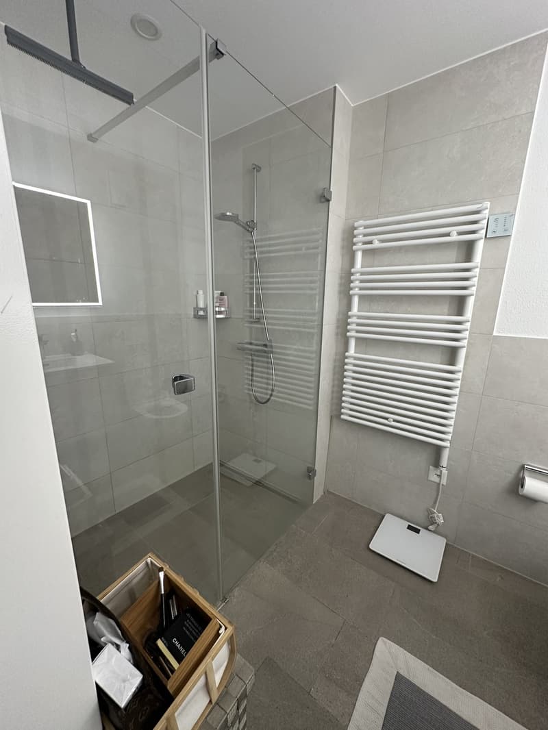 Rent a 2 1/2 Appartment in Seefeld Zurich (5)