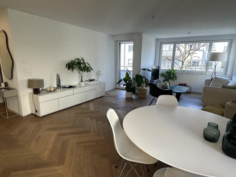 Rent a 2 1/2 Appartment in Seefeld Zurich (3)