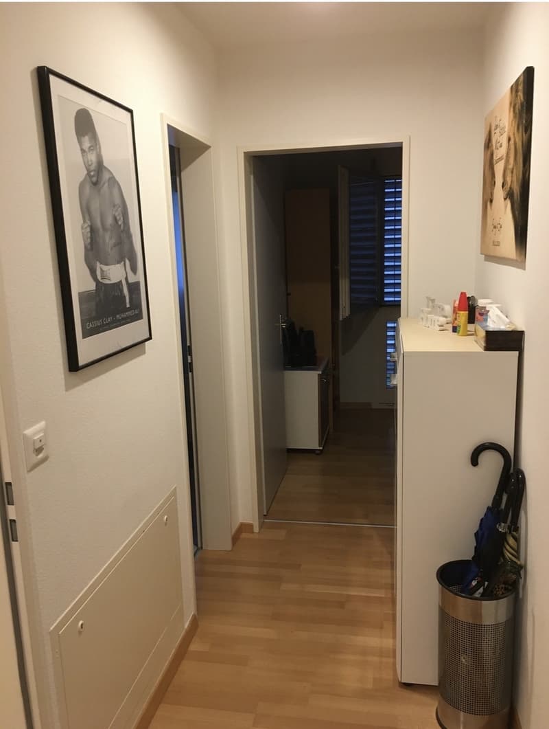 4,5 Zimmer (1)