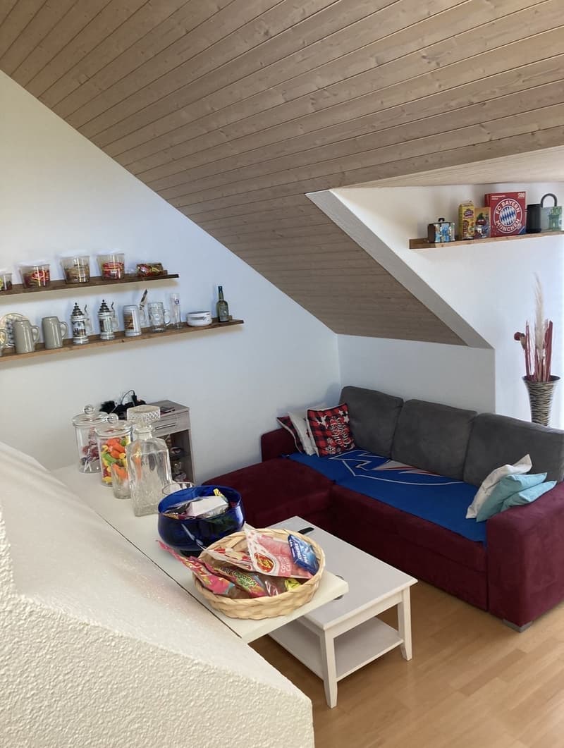 4,5 Zimmer (9)
