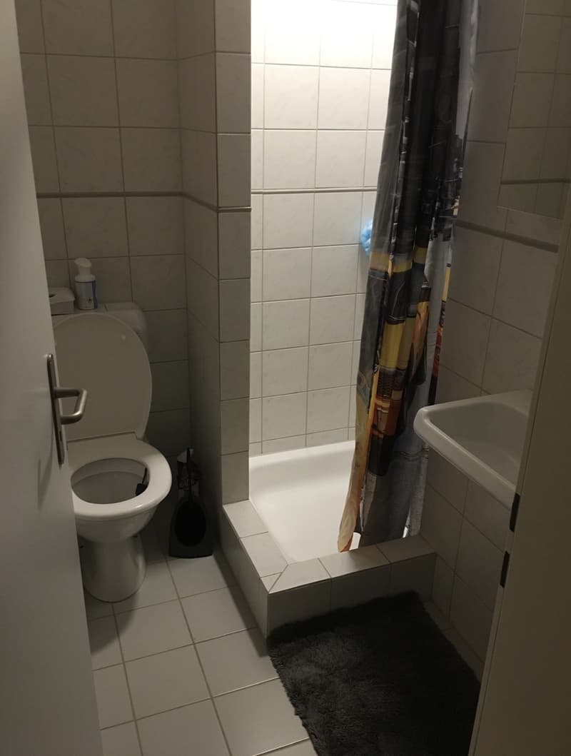 4,5 Zimmer (5)