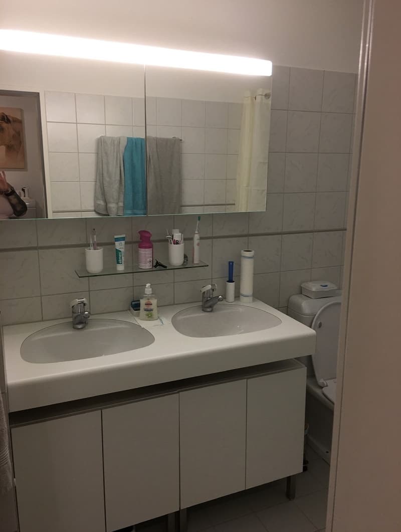 4,5 Zimmer (4)
