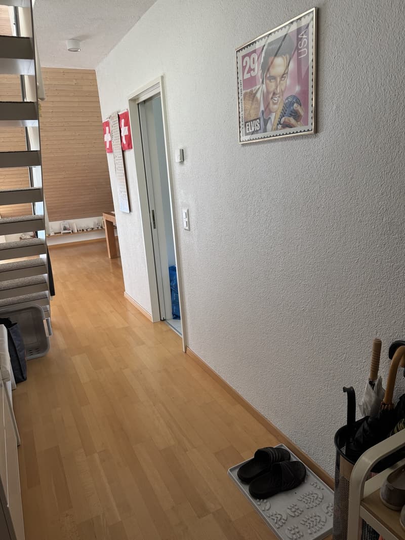 4,5 Zimmer (12)