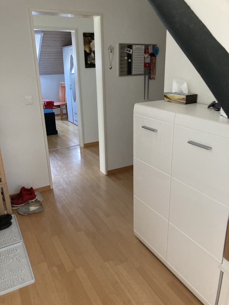 4,5 Zimmer (7)