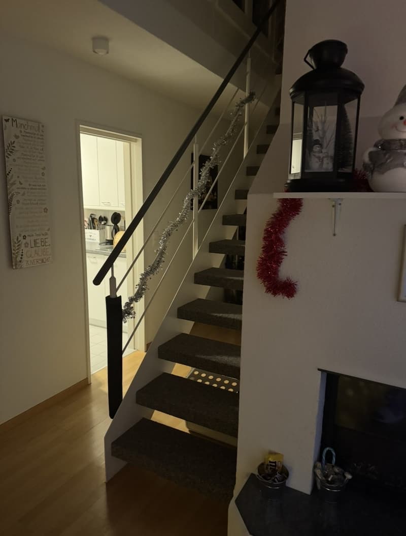 4,5 Zimmer (3)
