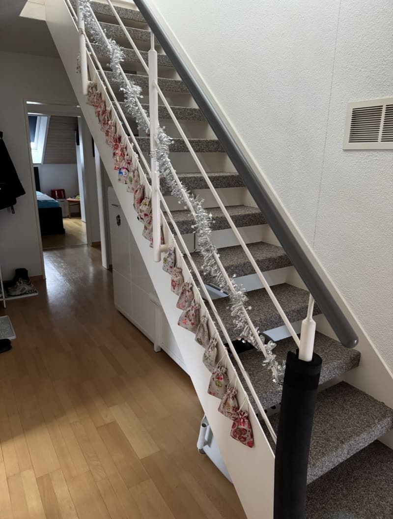 4,5 Zimmer (11)